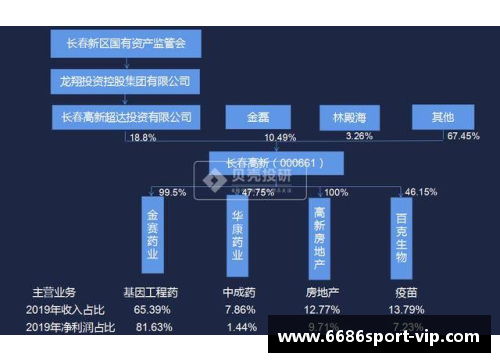 中青球员培养计划：未来之星的成长路径